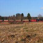 8929 verkehrt heute ohne Buffet