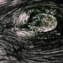 Das Auge der Natur von potjo