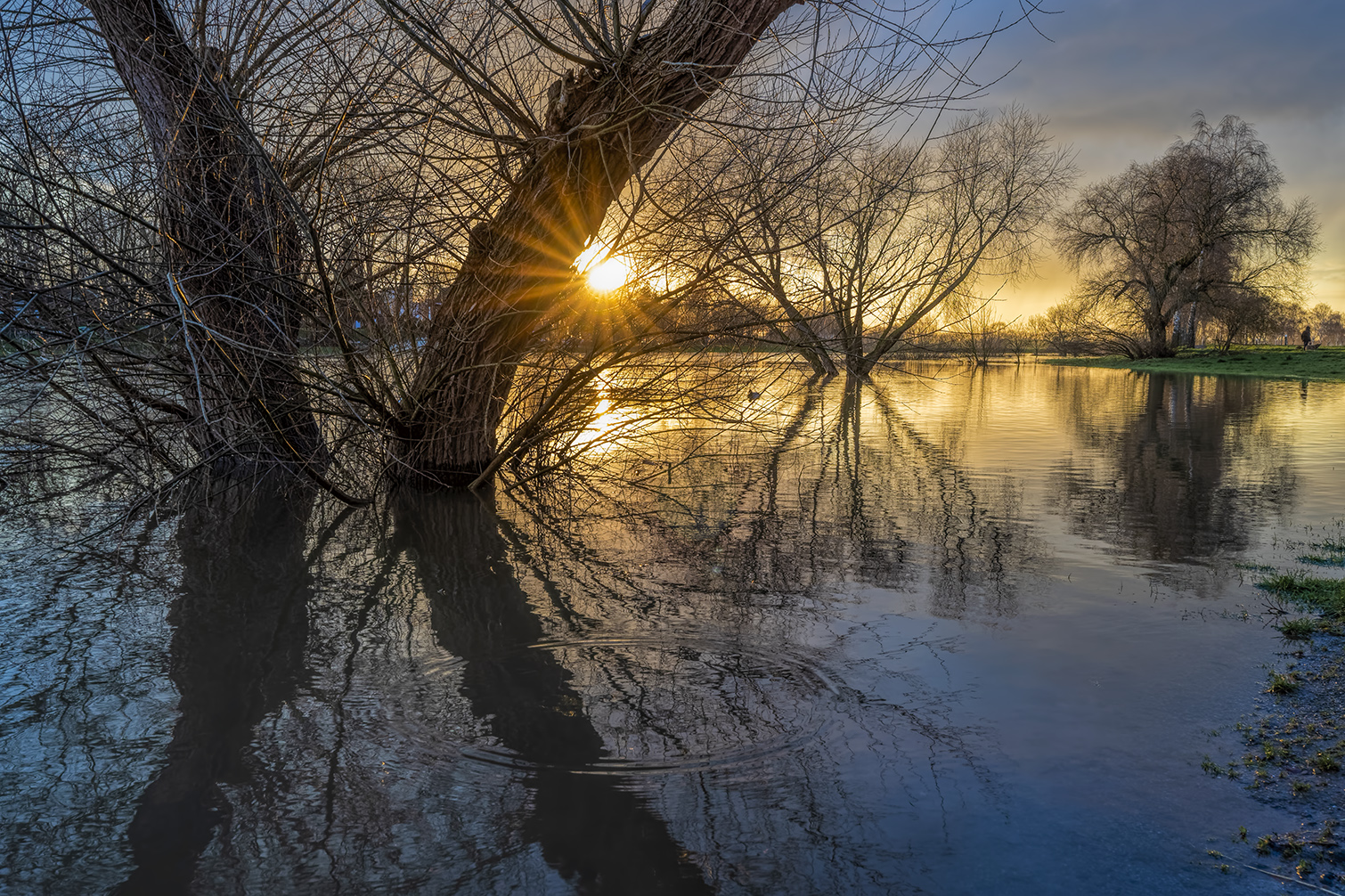 8980SB Rinteln Sonnenuntergang an der Weser bei Hochwasser am Weseranger