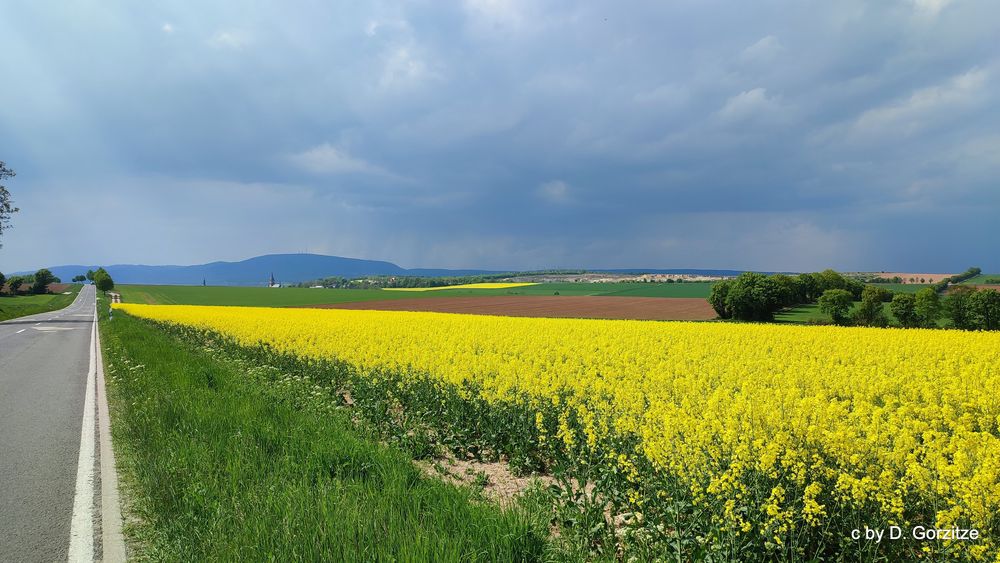 Frühling in der Pfalz ! von gorzitze dieter