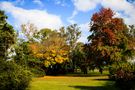 Los colores de otoño by Roberto Justo Robiolo