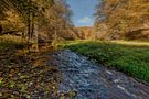 Der Herbst im Westerwald, Deutschland 2014 von Daniel Giesen 