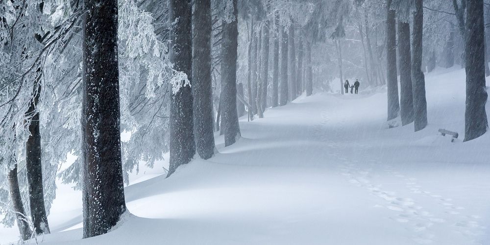 schneegesto?ber von Reinhold Bauer