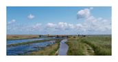 Borkum: Ostland / Hooge Hörn - Mein bevorzugtes "Wanderrevier" by Reinhold Müller 