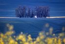 South Moravia 01 by Corry DeLaan