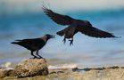 Day at the beach  de Hany HOSSAMELDIN