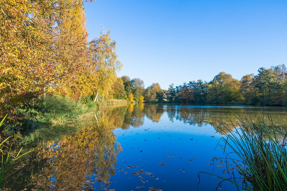 See im Herbst von Bernhard Maier