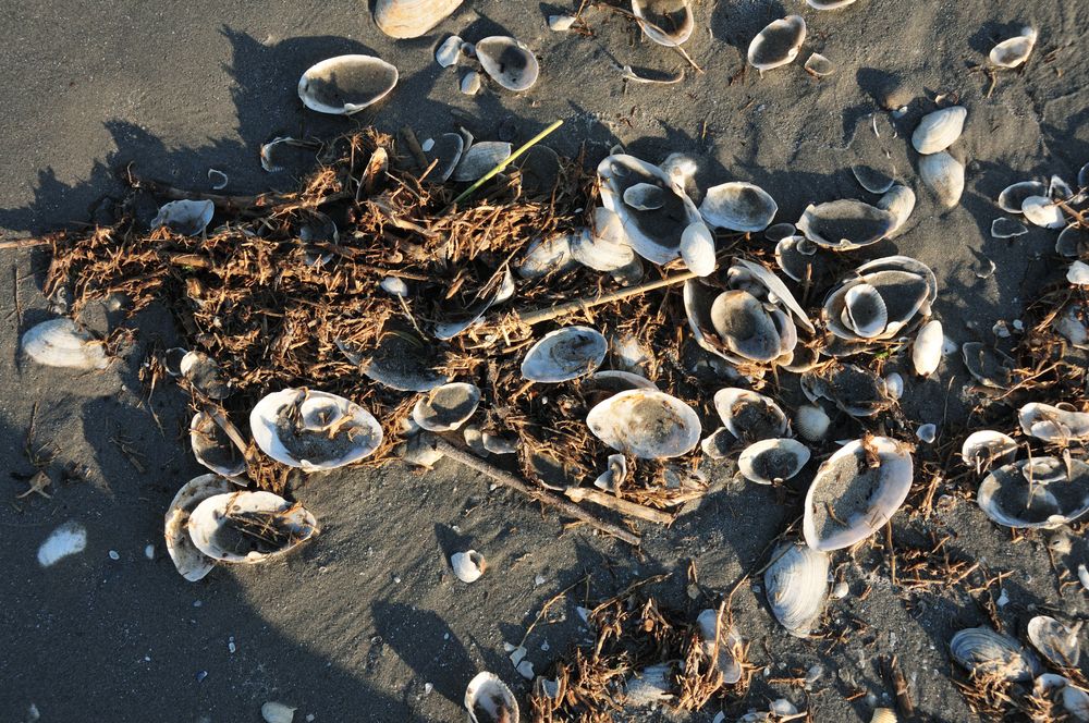 Abend am Strand von Sulina von vancouver53