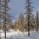 Schneelandschaft im Sonnenglanz