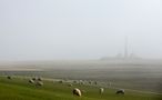 Westerhever by Jan-Henrik Sellin 