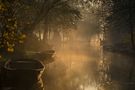 Nebel im Spreewald von Spreewald Fotografie Wendland