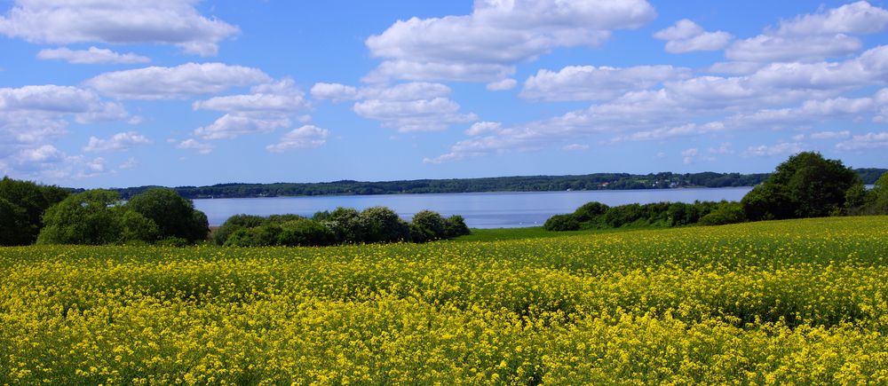 An der Flensburger Förde von Uheino