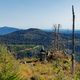 Vues sur la fort de Bohme / Aussichten im Bhmerwald