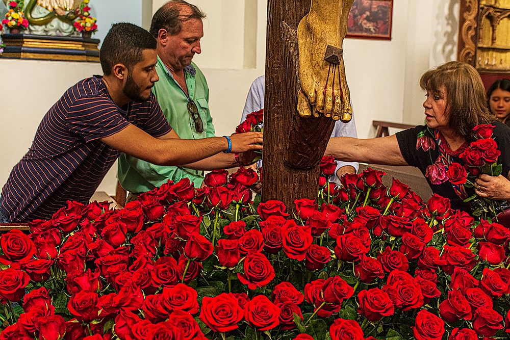 Rosas Rojas para la Proseción de Ana Maria Lujan Valdez