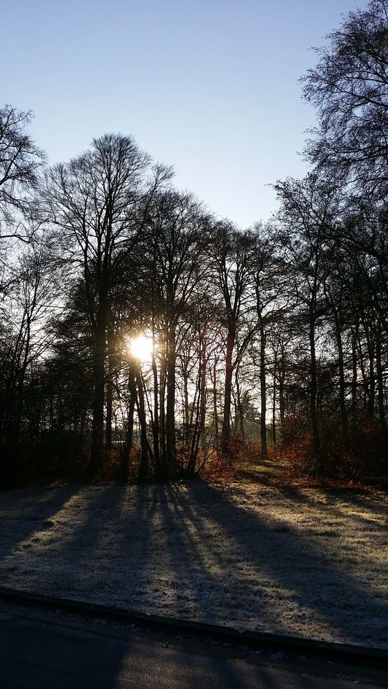 Morgens vor halb 10 in Deutschland von Schokotassenkuchen 