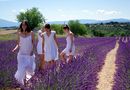 Jeunes filles en fleurs ..... de Dream30 