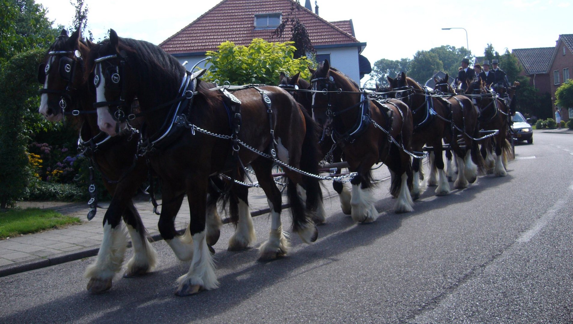 8PS Können SEHR mächtig sein