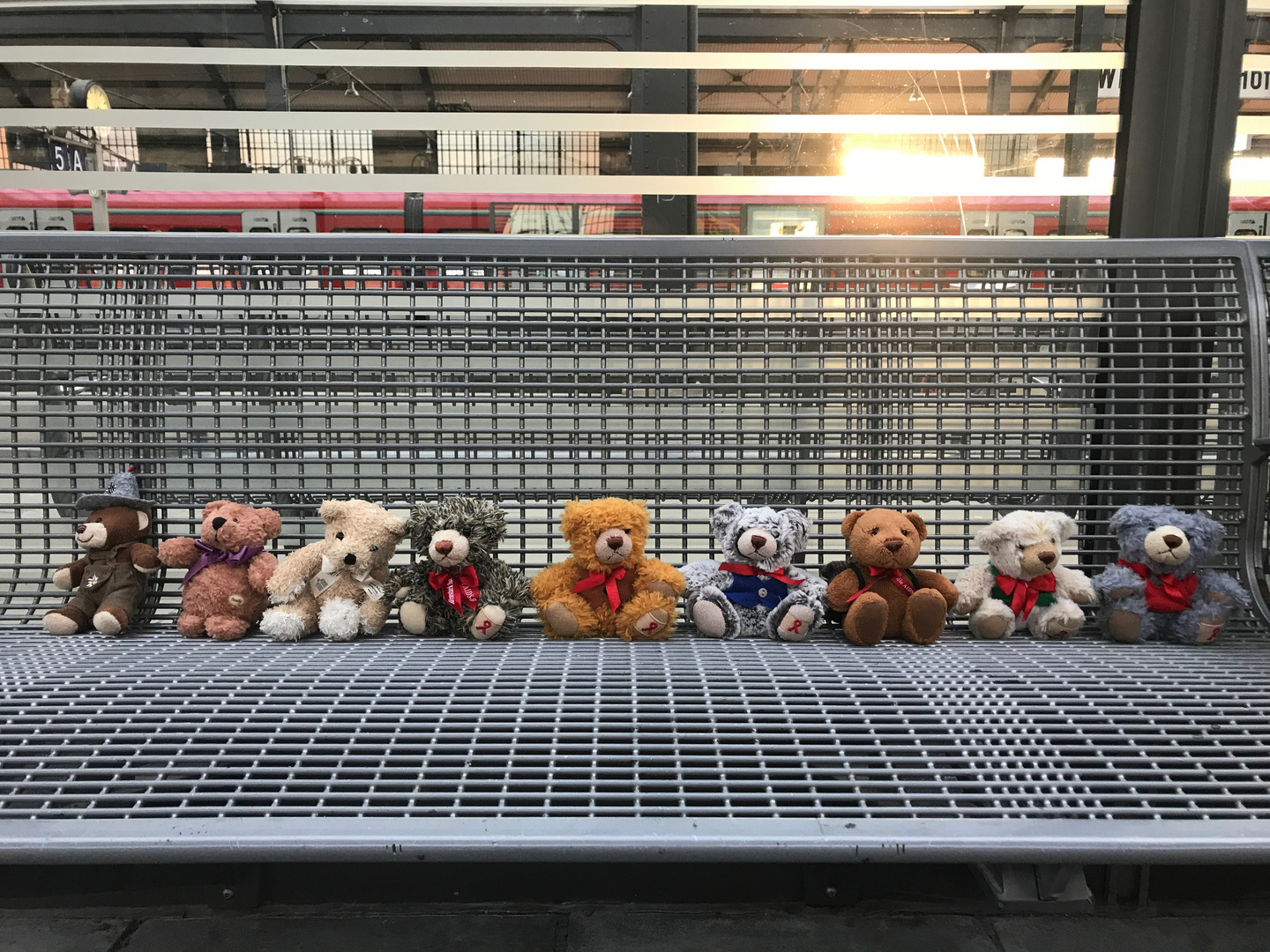9 Bären warten auf den Zug nach Paris 