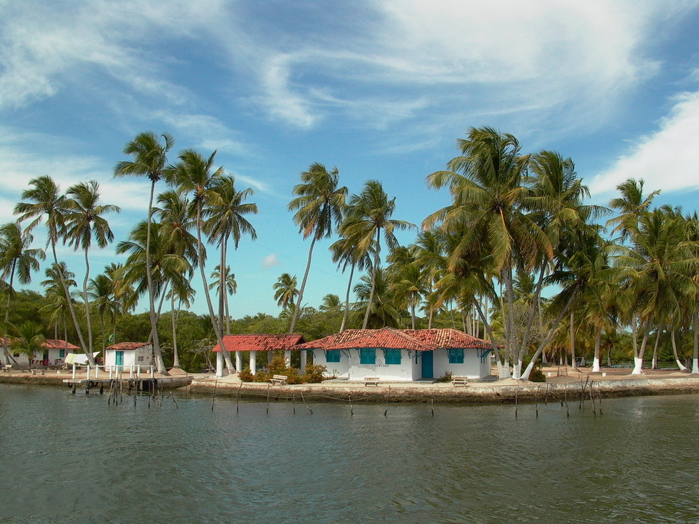 9 ilhas da Lagoa Mundaú