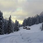 9. Oktober an der Gerstrubenalpe