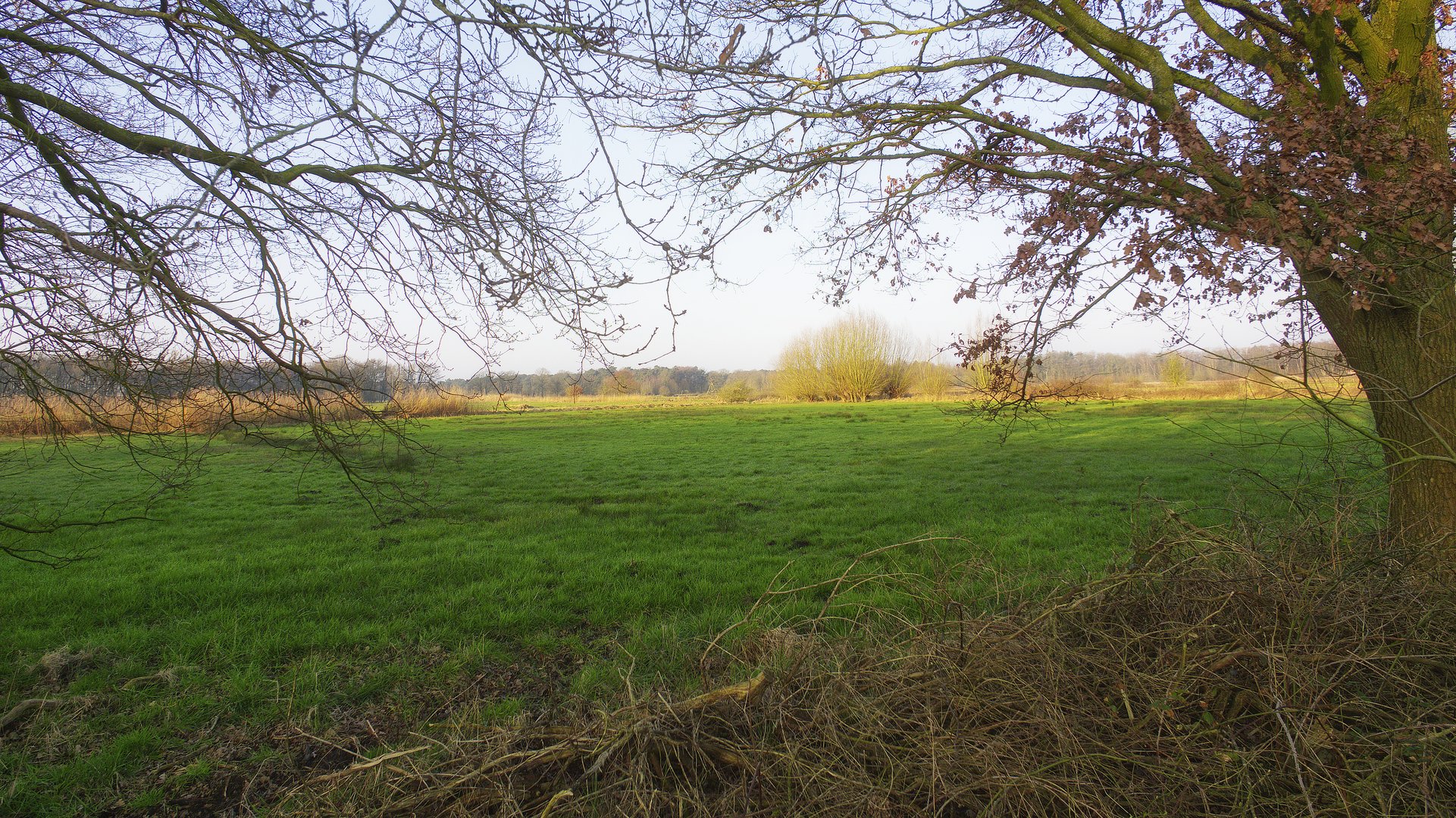 9008     Morgens in der Heide 