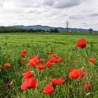 9058    ___    rund um den Kaiserstuhl   ___