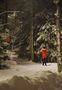 The skier in the evening by Raimo Ketolainen