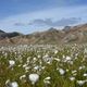 Landmannalaugar - Island