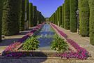 JARDINES DEL ALCAZAR DE CÓRDOBA von JUAN DE DIOS VÍLCHEZ PÉREZ