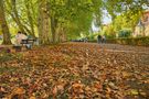 Herbst in Tübingen von Thomas Leib