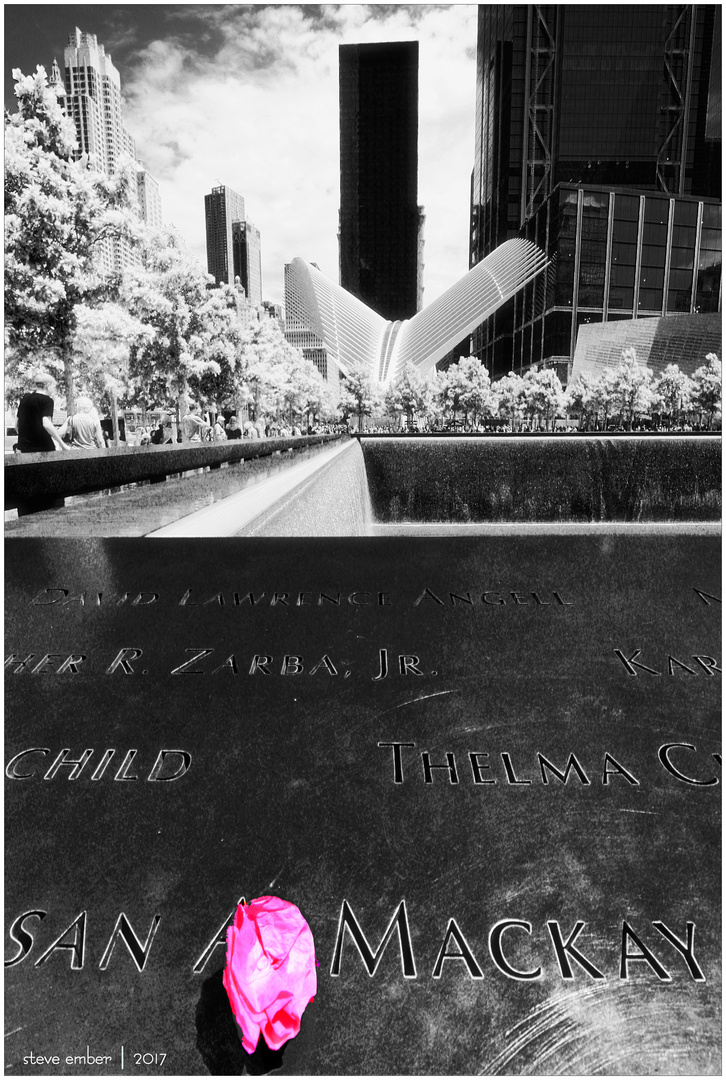 9/11 Memorial North Pool and Oculus