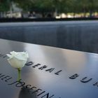 9/11 Rose