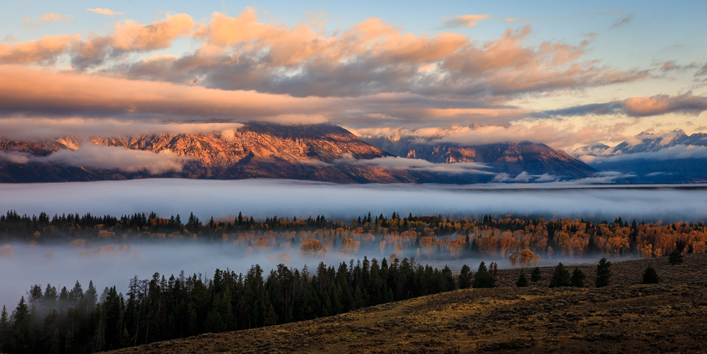 Foggy Morning von Marc Maiworm 