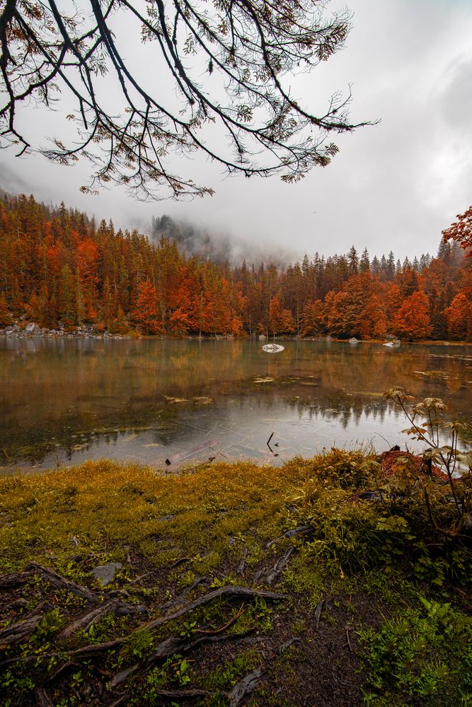 Lac vert de Hany HOSSAMELDIN