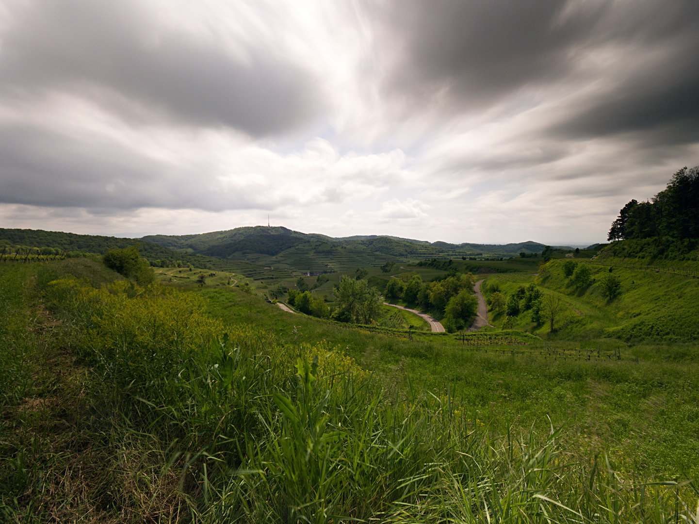 9186   ___   am Kaiserstuhl   ___