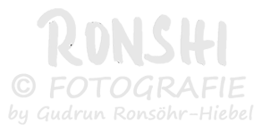 RONSHI FOTOGRAFIE