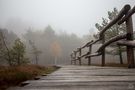 Nebel im schwarzen Moor  von Uschi Baier Fotografie