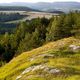 Sattelkpfe bei Hrningen, Sdharz-Karst