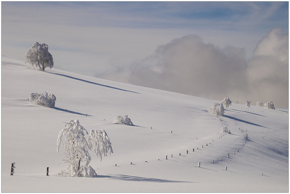 * Unberührte Schneelandschaft * von Clau.Dia´s 