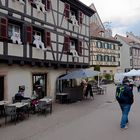 9231   ___  Colmar  ___