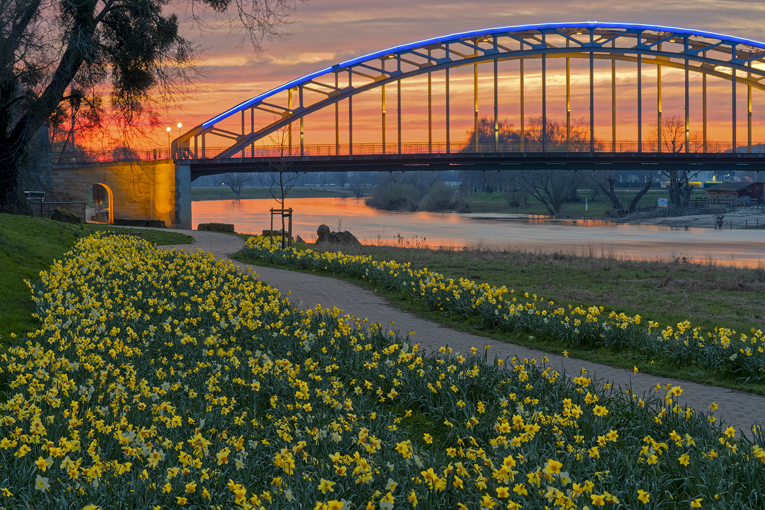 9236SB Sonnenuntergang Weserbrücke Rinteln  mit Osterglocken beleuchtet