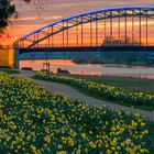 9236SB Sonnenuntergang Weserbrücke Rinteln  mit Osterglocken beleuchtet