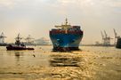 Maersk am Sclepper by Falk Kollo 
