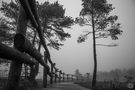 Nebel im Moor von Uschi Baier Fotografie