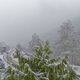 Neuschnee in Ediger-Eller