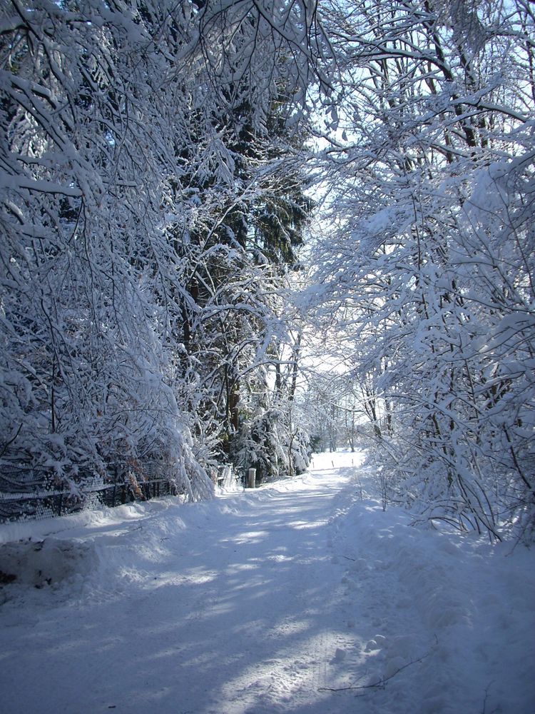 Winterland von Petra1956 