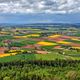 Bauernland im Mai