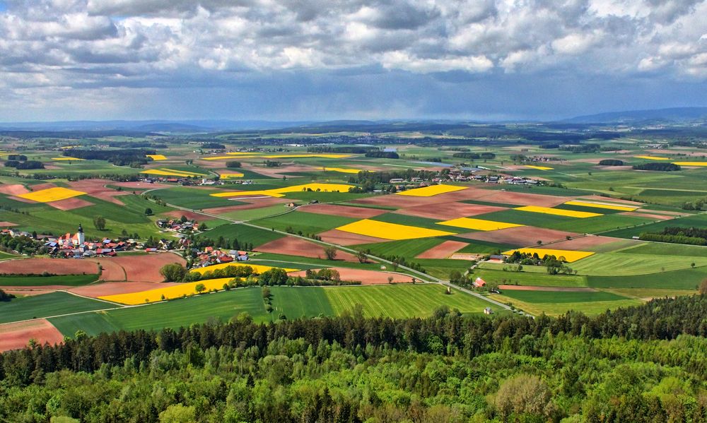 Bauernland im Mai von Schuster Werner