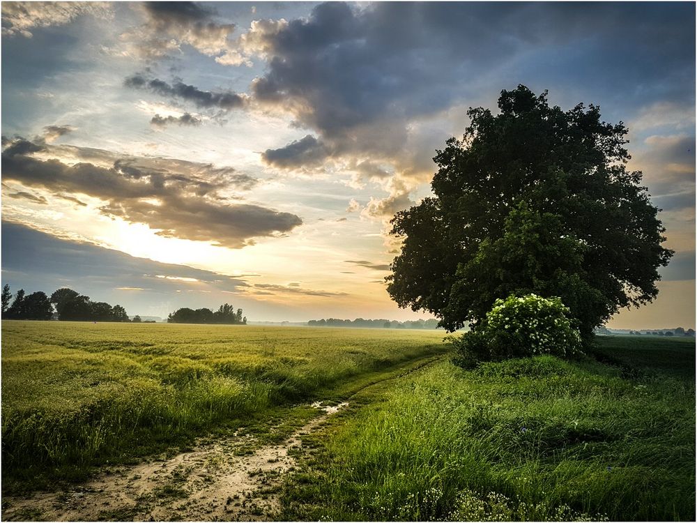 Abend in der Niederlausitz von Christia Schneider