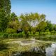 Les marais de Bourges 